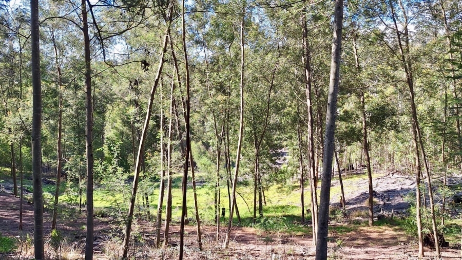 0 Bedroom Property for Sale in Knysna Rural Western Cape